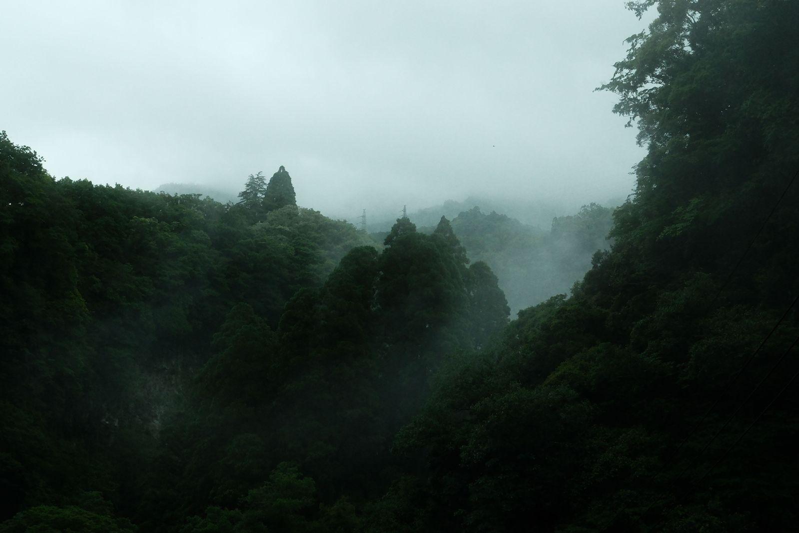 DSCF1135
