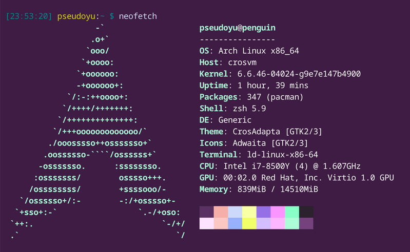 btw_i_use_arch