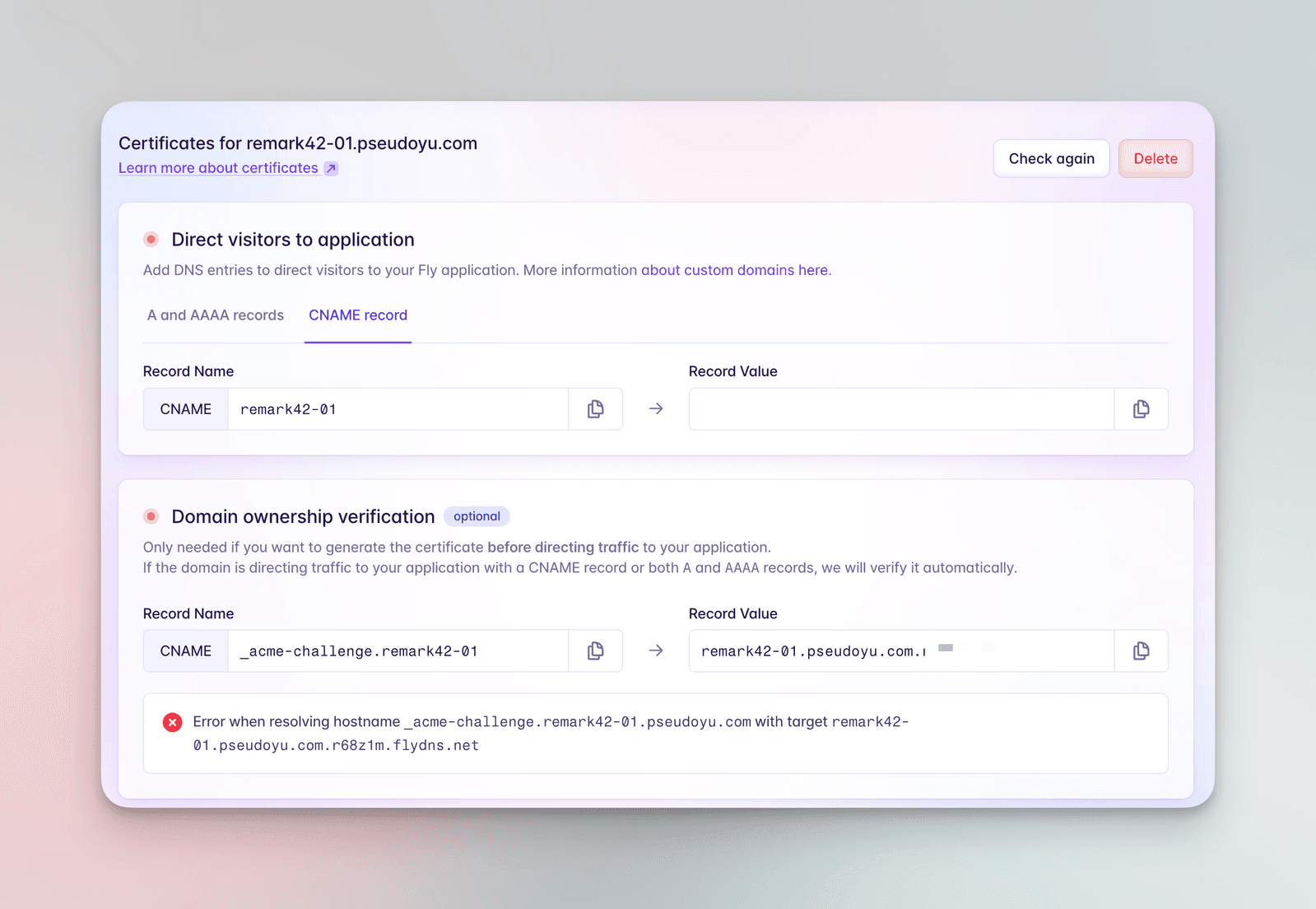 custom_domain_dns_in_fly