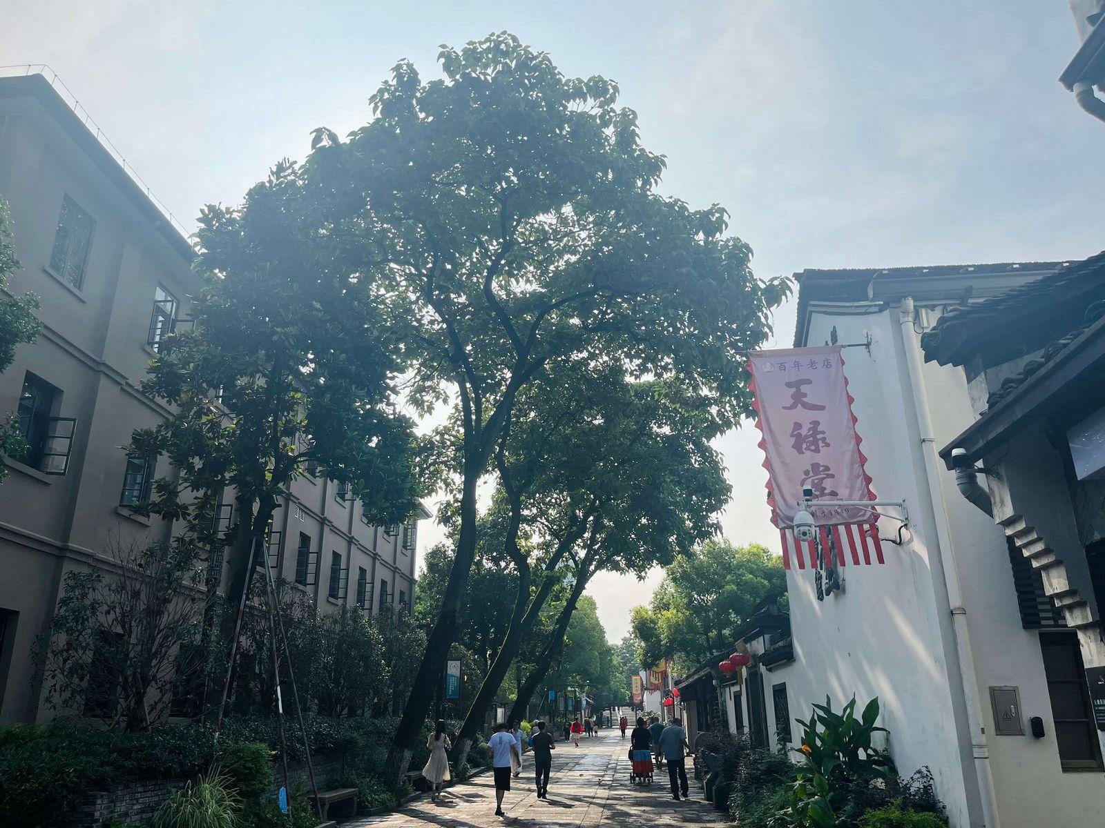 morning_scene_run