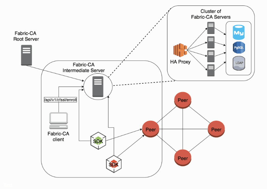 hyperledger_fabric_ca_structure