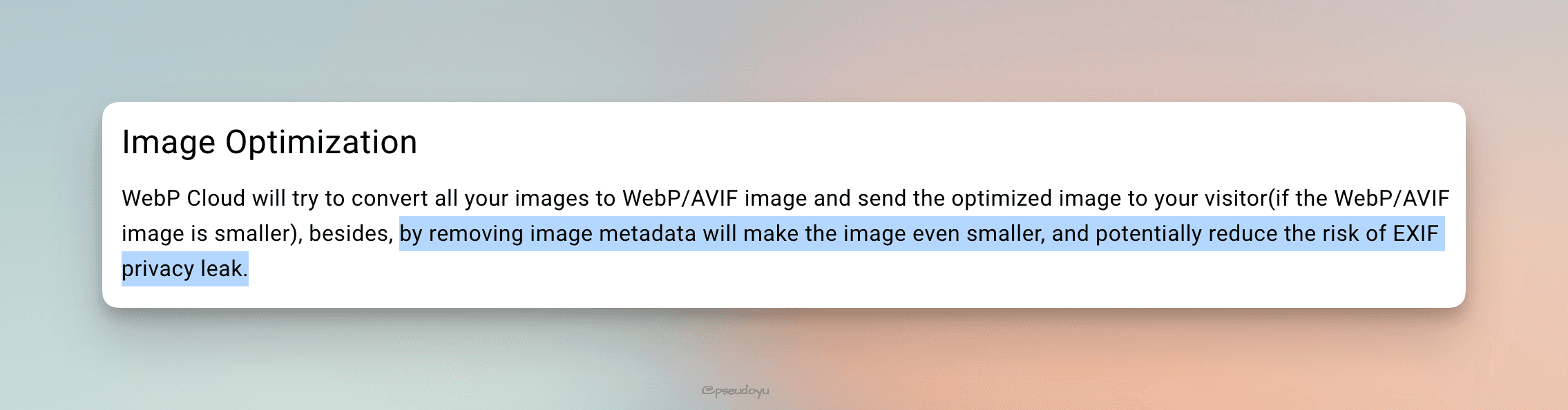 webp_exif_remove